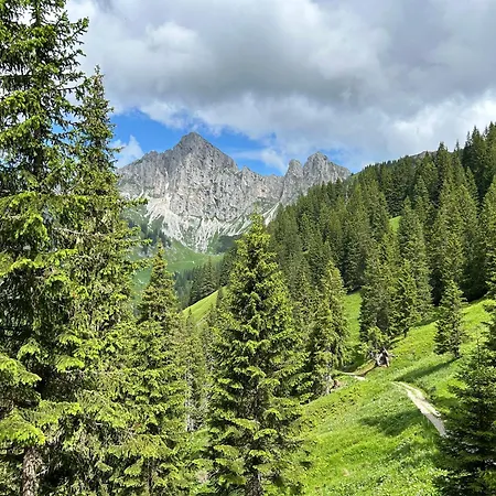 Tinyhome Singer - Inclusive Private Sauna Lejlighed Ehenbichl