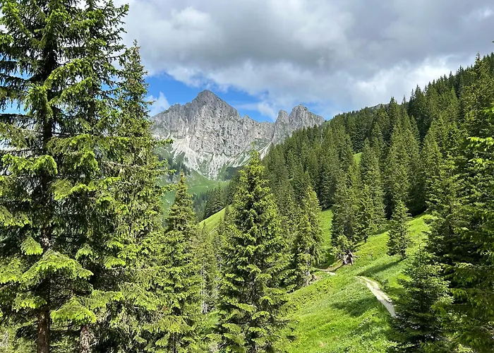 Tinyhome Singer - Inclusive Private Sauna Apartmán Ehenbichl