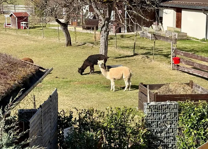 Appartamento Tinyhome Singer - Inclusive Private Sauna