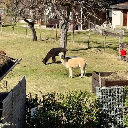 アパート Tinyhome Singer - Inclusive Private Sauna